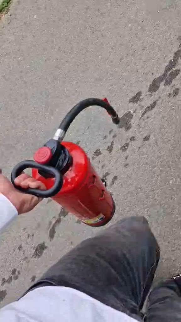 737249633_1298655108812119_3069054349308529529_n.jpeg